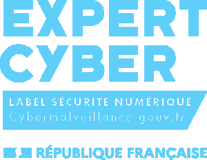 Logo-EXPERTCYBER-bleu